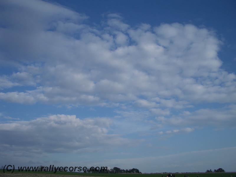 IMGP2766.jpg