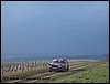 IMGP2764.jpg