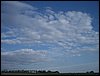 IMGP2766.jpg