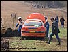 IMG_9446.jpg