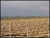 IMG_9530.jpg