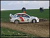IMG_9556.jpg
