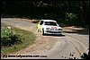 IMG_1319.jpg