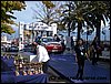 IMGP3560.jpg